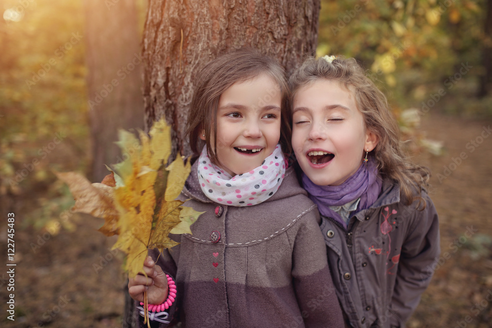 Two friends on a sunny autumn walk Two friends on a sunny autumn walk