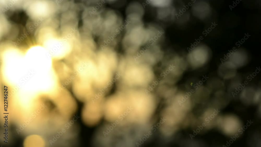 Nature bokeh background Nature bokeh background