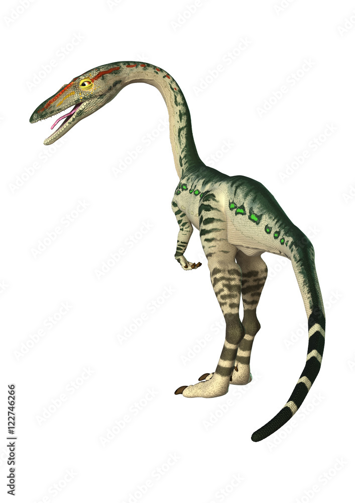 Fototapeta premium 3D Rendering Dinosaur Coelophysis on White