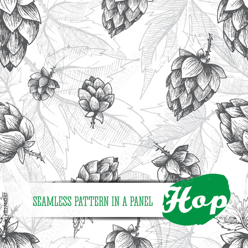 Beer hops seamless pattern of hand drawn hops cones and hops leaves, black and white background, sketch and engraving design hops plants. All element isolated.