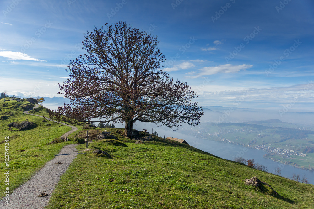 Panoramic view of Lake Lucerne, Alps, Switzerland Panoramic view of Lake Lucerne, Alps, Switzerland
