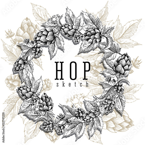 Beer hops round frame hand drawn hops branches with leaves, cones and hops flowers, color sketch and engraving design hops plants. All element isolated. Common hop or Humulus lupulus branch.