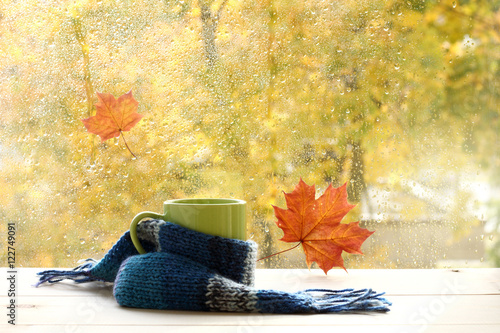 Fotografija season when you need warm drinks/ green circle in the scarf, the window with map