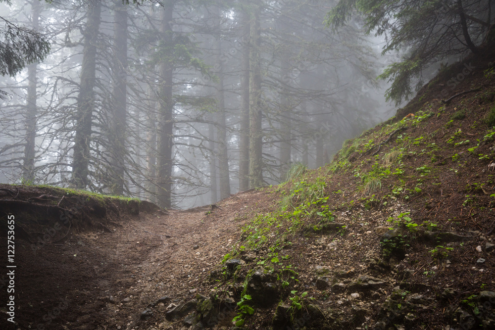 Obraz premium Panorama of Romanian Carpathians