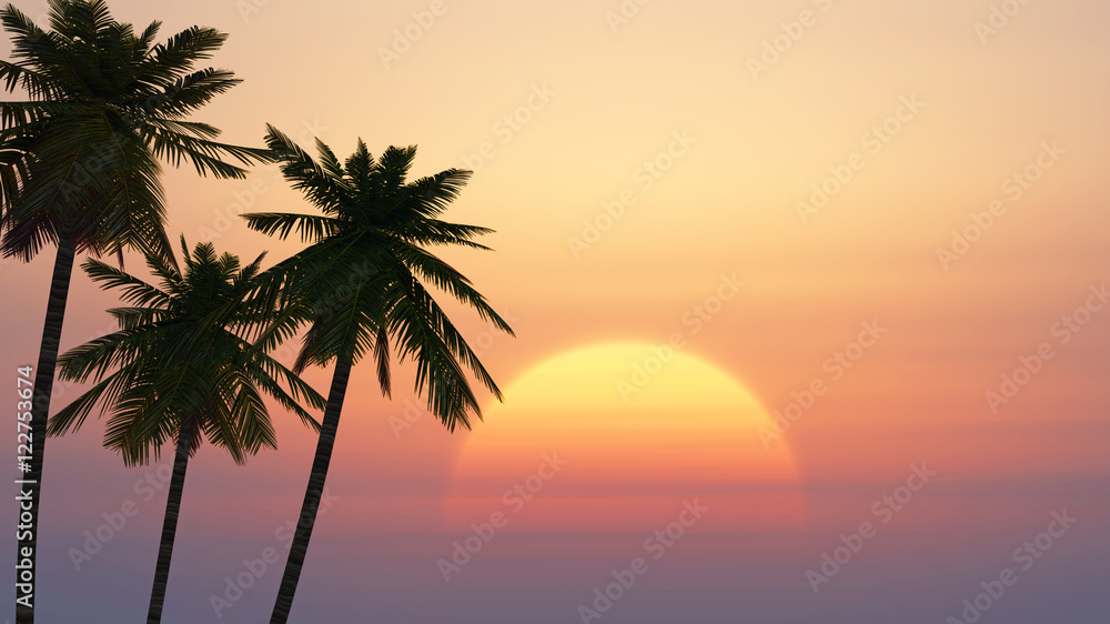 palm trees on a background of tropical sunrise
