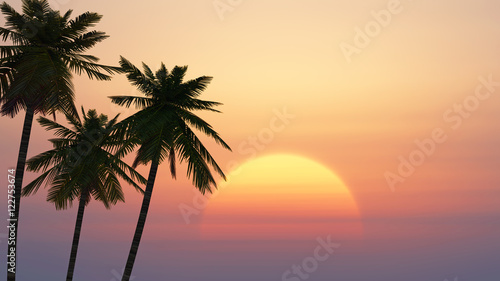 palm trees on a background of tropical sunrise © Photobank