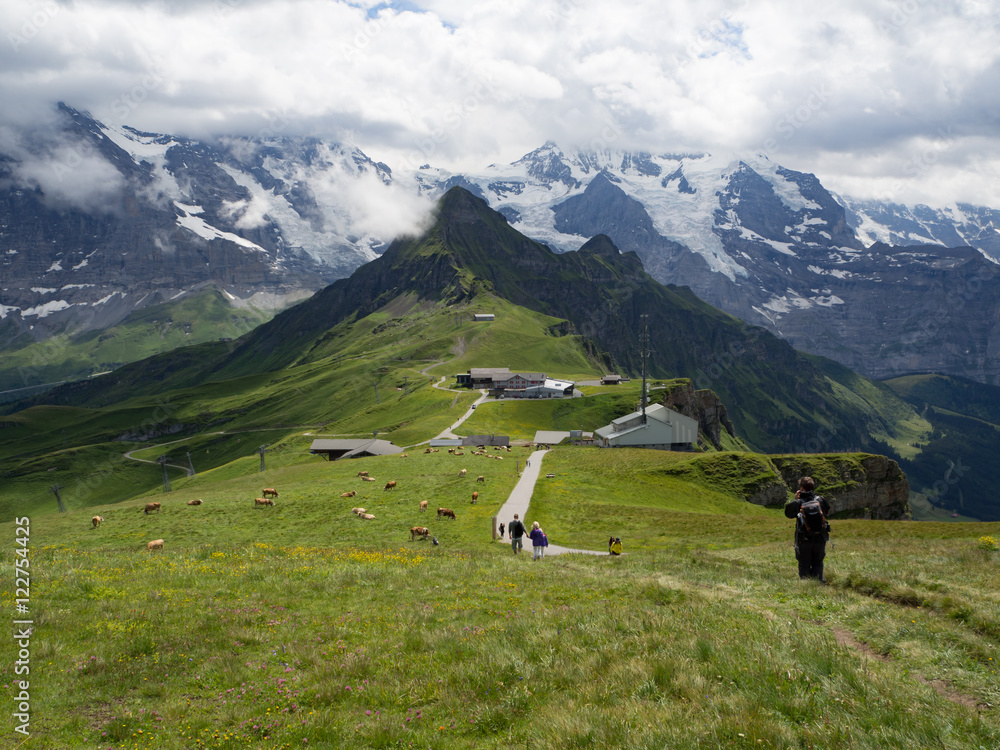 vista de los alpes Suizos desde Männlichen, Suiza en el verano de 2016 OLYMPUS DIGITAL CAMERA