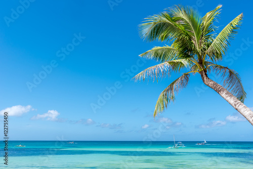 Fototapeta Naklejka Na Ścianę i Meble -  Tropical beach background from Boracay island with coconut palms