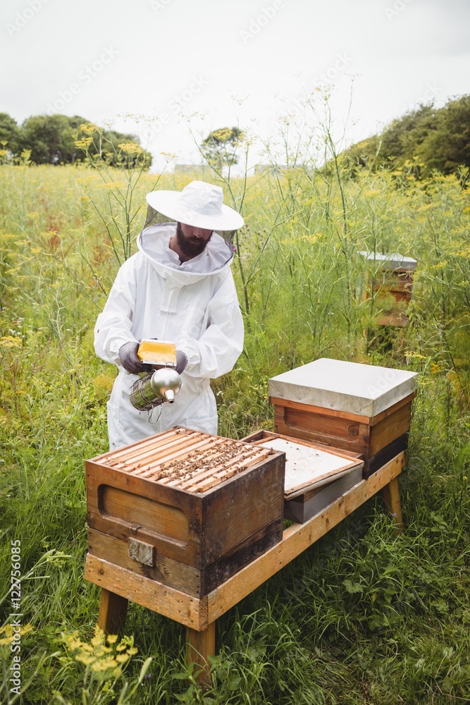 Beekeeper using bee smoker Beekeeper using bee smoker