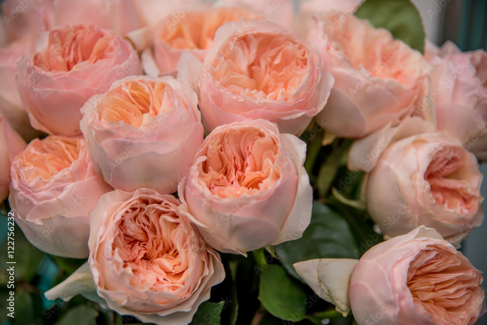 International Flower Exhibition in Moscow in 2016 International Flower Exhibition in Moscow in 2016