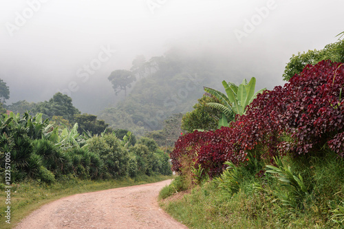 Rural road through the foggy landscapes towards the cloud forests surrounding the small village of coffee growers in the highlands of Honduras. Santa Barbara National Park