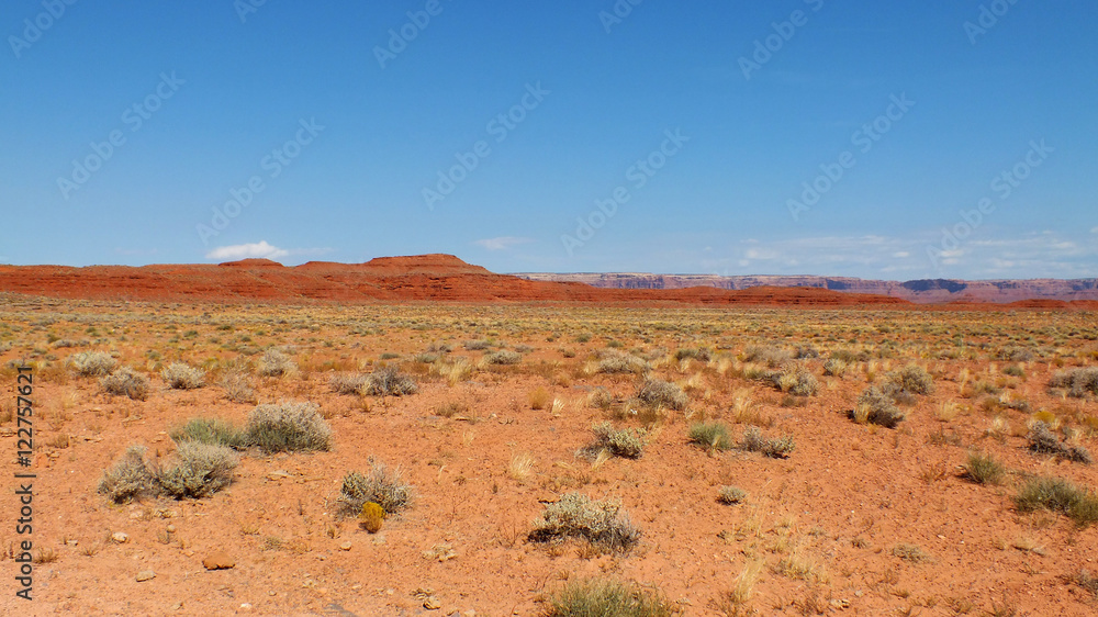 Landscape in Southwestern Colorado, USA Landscape in Southwestern Colorado, USA