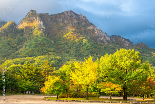 Seorak fall view in the morning light, Seoraksan National Park,