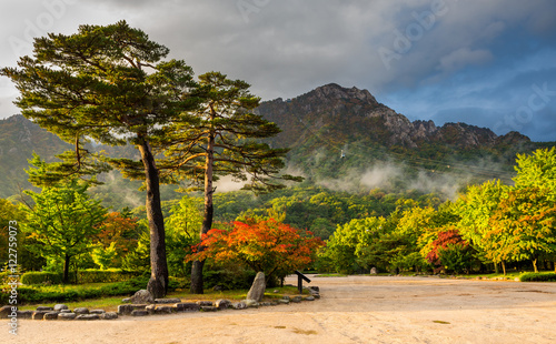 famous pair pines in the morning light - symbol of Seoraksan Nat