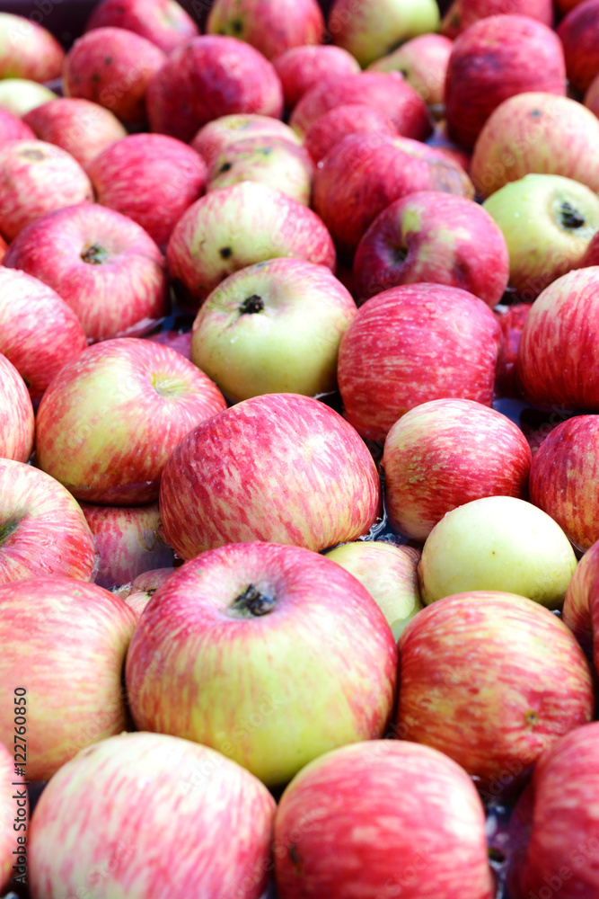 Many red apples floating in the water. Many red apples floating in the water.