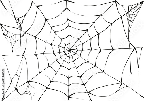 Black spider web on white background