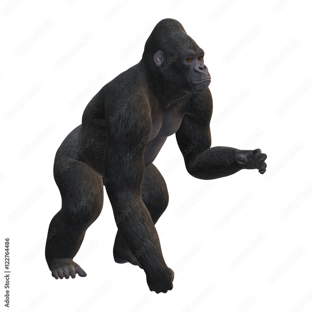 Naklejka premium 3D Rendering Gorilla on White