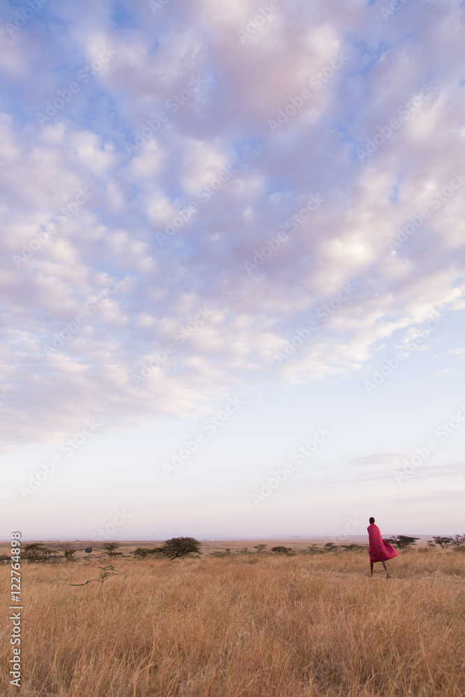 Maasai man walking on the savannah at sunset in Kenya Maasai man walking on the savannah at sunset in Kenya