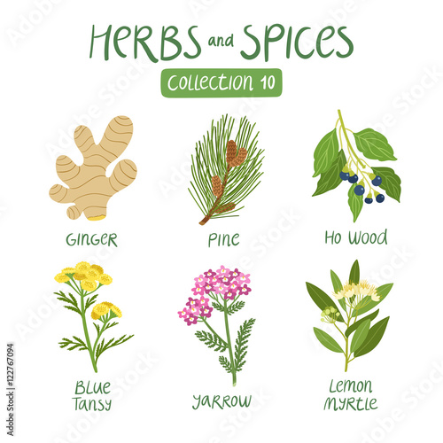Herbs and spices collection 10