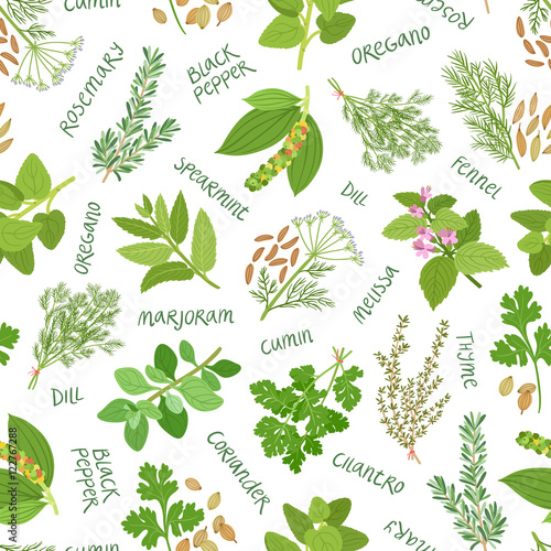 Herbs and spices seamless pattern on white background