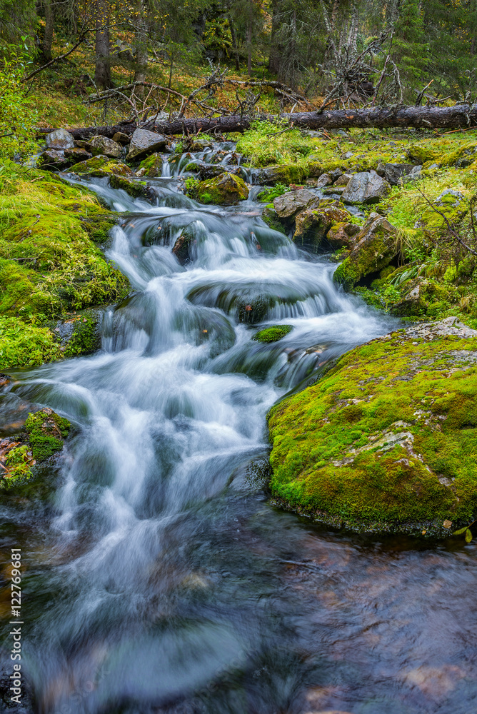 Wild stream flowing in autumnal forest