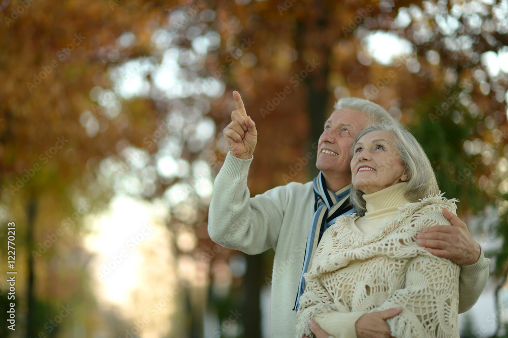 Senior couple in autumn park Senior couple in autumn park