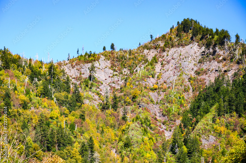 Great Smoky Mountains National Park