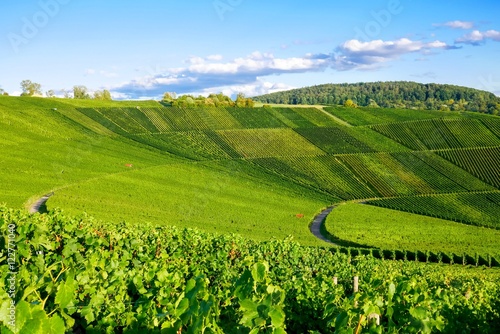 Weinberge im Herbst