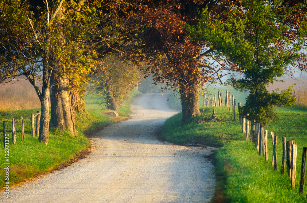 Naklejka premium Great Smoky Mountains National Park