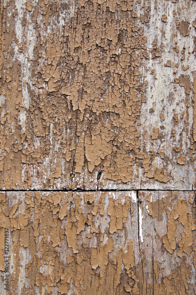 Fototapeta premium Metal background with rivets