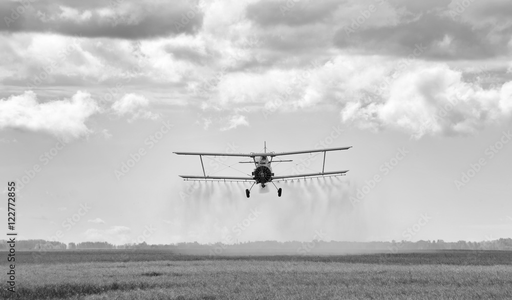 Fototapeta premium Spray plane swooping down and spraying chemical on a agriculture field at harvest in black and white