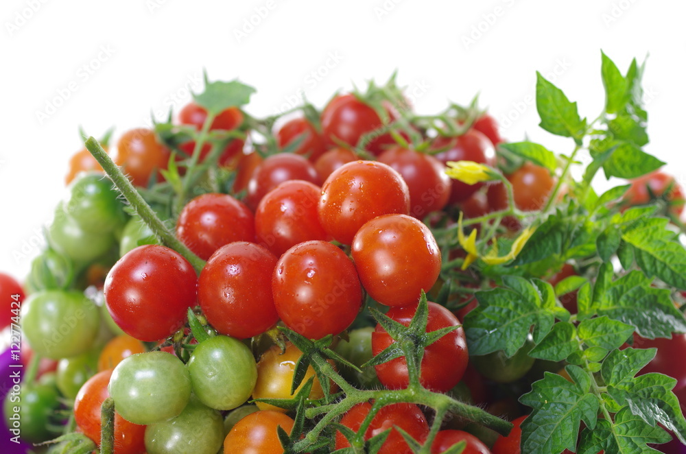  cherry tomatoes