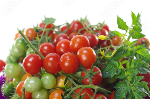  cherry tomatoes