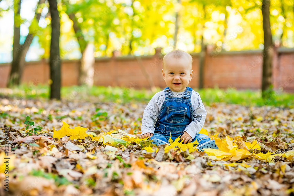 toddler sitting in the park in autumn leaves toddler sitting in the park in autumn leaves