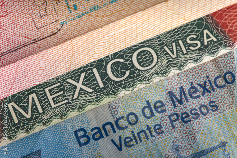 Obraz premium visa of Mexico in the international passport and Mexican pesos, closeup..