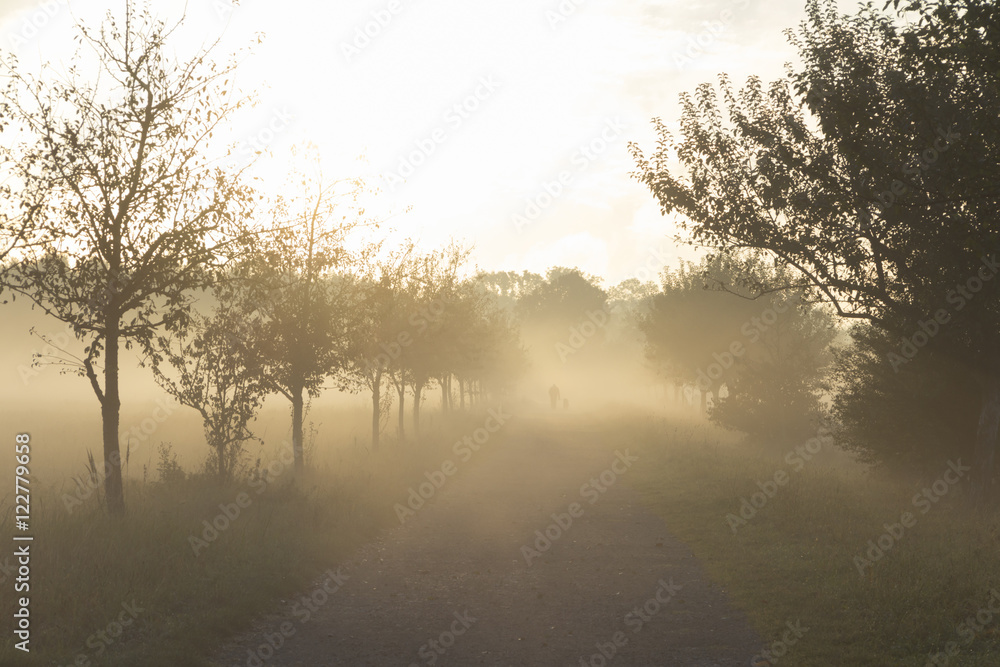 Wanderer im Morgennebel über dem Feld Wanderer im Morgennebel über dem Feld