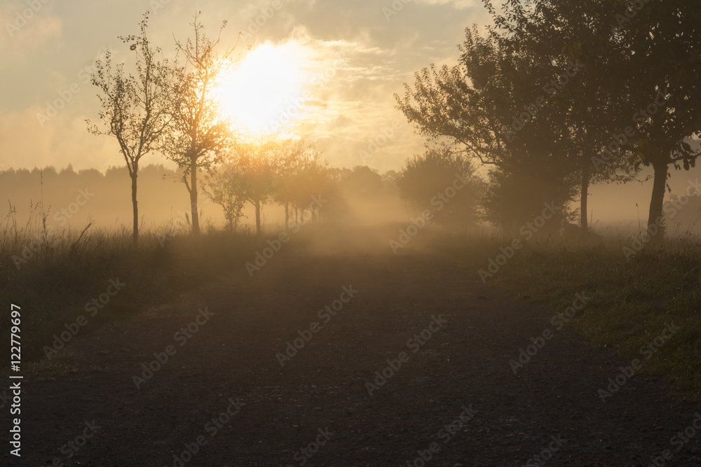 Wanderer im Morgennebel über dem Feld Wanderer im Morgennebel über dem Feld