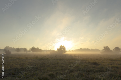 Morgennebel über dem Feld