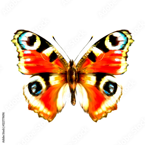 beautiful butterfly © aboard