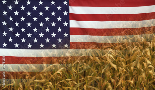 USA Nutrition Concept Corn field with fabric Flag