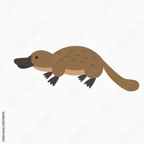 Vector illustration with cartoon platypus icon.