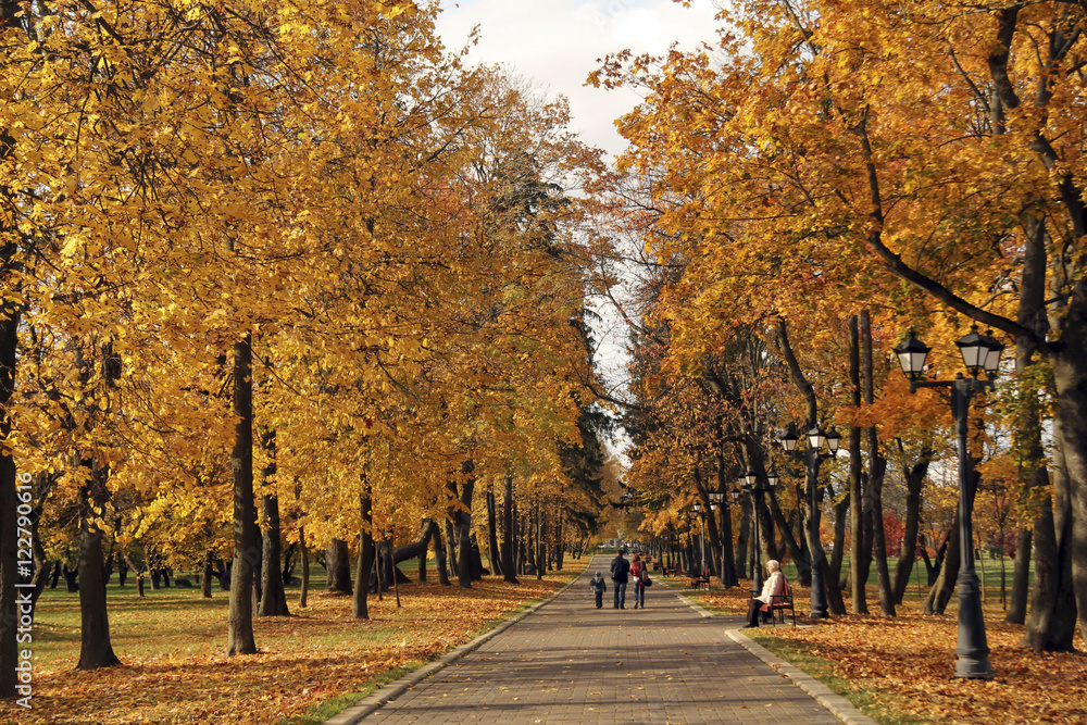 Walking in the city park covered with yellow leaves Walking in the city park covered with yellow leaves