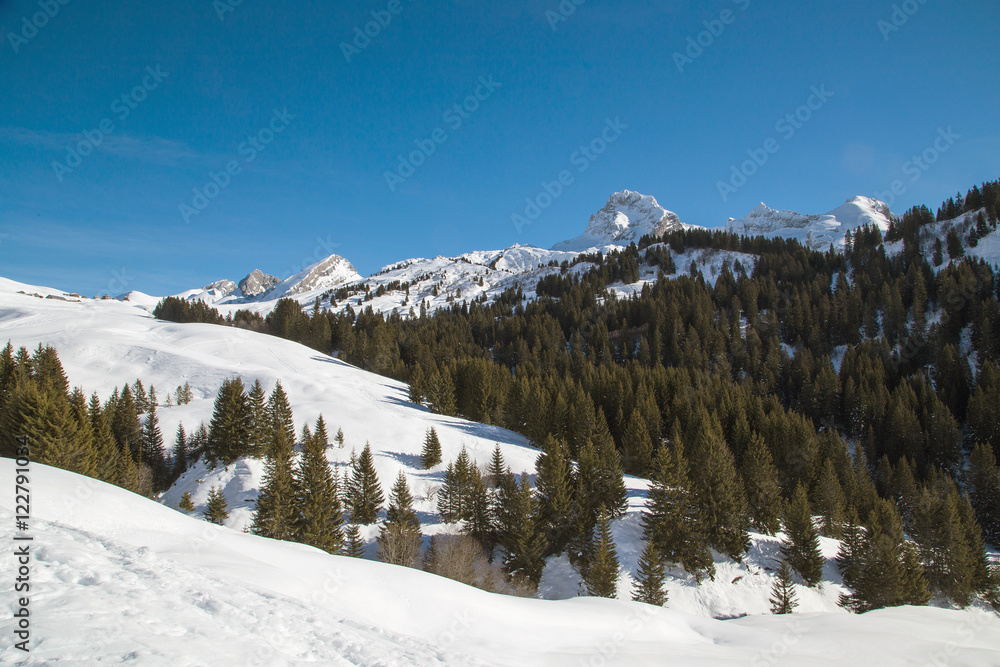 Grand Bornand - station de ski Grand Bornand - station de ski