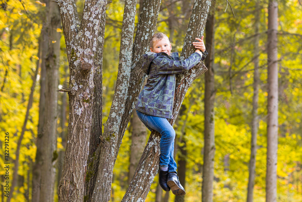 Smiling boy climbed in a tree in park Smiling boy climbed in a tree in park
