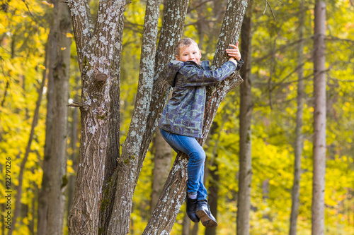 Smiling boy climbed in a tree in park
