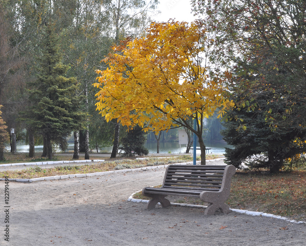 Bench in the autumn Park