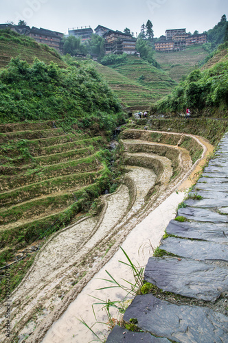 Longjii rice terraces, China photo