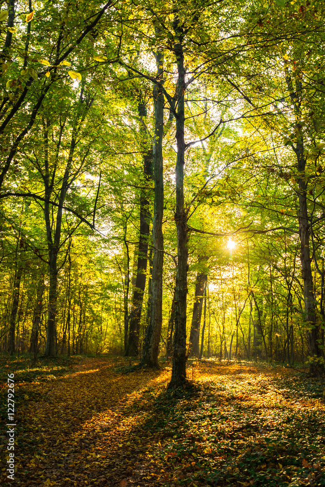 Fototapeta premium Idyllic autumn scenery in remote mountain area in Transylvania