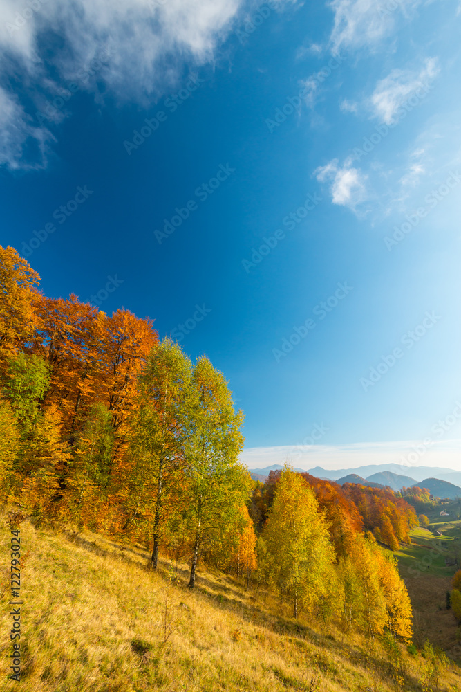 Fototapeta premium October autumn scenery in remote mountain area in Transylvania