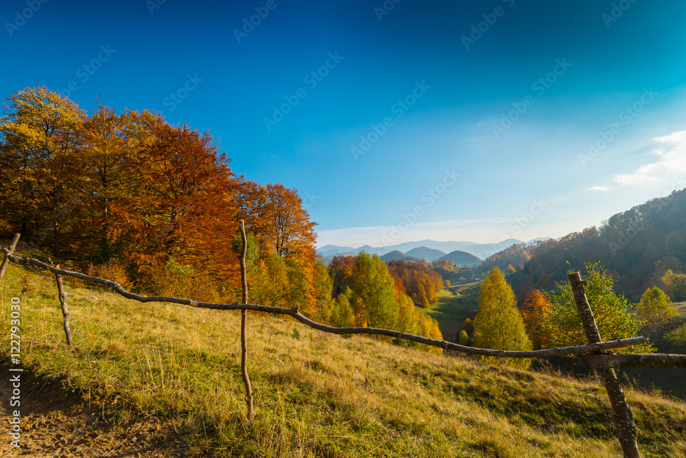 Naklejka premium October autumn scenery in remote mountain area in Transylvania